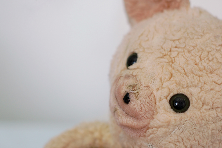 M’n geliefde knuffel.