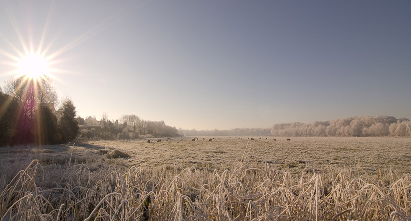 Landschap met aangevroren dauw.
