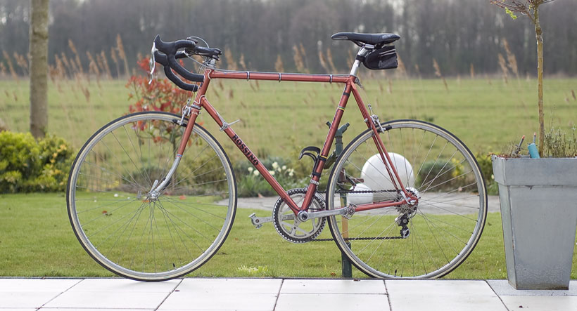 M’n racefiets modeljaar 2008. Of eigenlijk 1972 met ’80 Shimano 600EX schakelsysteem, velgen van rond de eeuwwisseling en nieuw stuur, zadel en remhendels.