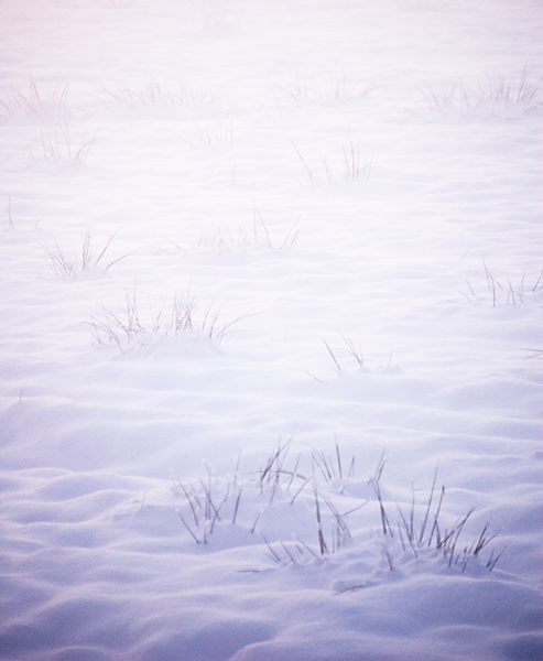 Mist vormde zich boven de verse sneeuw. Dat gaf een mooie reden de camera te pakken, hoewel de kou niet helpt om het ding stabiel vast te houden.