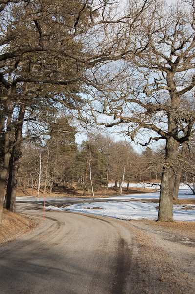 Een weg centraal op het eiland Djurgården, wat vooral bestaat uit natuur, een openlucht museum en een klein aantal woningen voor zij die het betalen kunnen. Qua aanblik lijkt het eiland in herfstsferen gedompeld. Omdat bladeren en dergelijke direct ondergesneeuwd zijn in de herfst en winter komen die nu weer tevoorschijn.