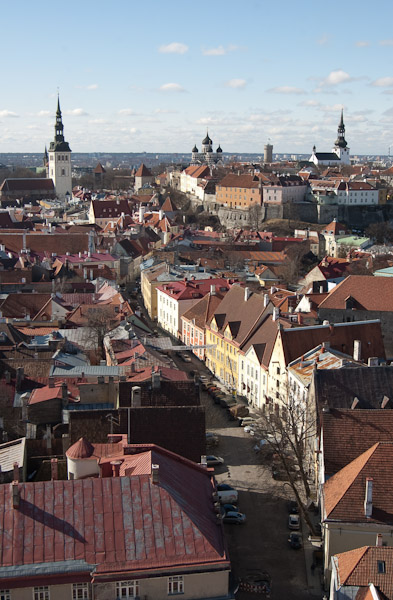 Het centrum van Tallinn, gezien vanaf de toren van de St. Olav kerk. Die toren was enige tijd het hoogste gebouw ter wereld, zo rond de zestiende eeuw. Het is in ieder geval een kreng om omhoog te lopen. Het trappenhuis heeft sinds die periode weinig vernieuwing mogen genieten.
