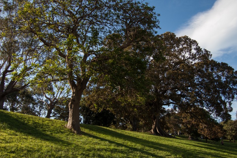 Banner image for post Domain park
