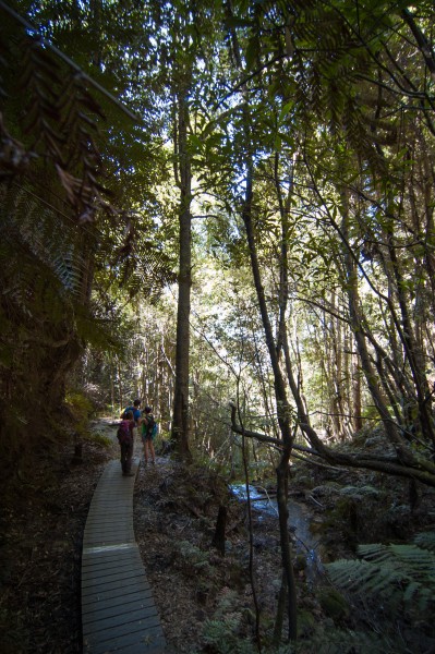 Banner image for post Blue Mountains IV