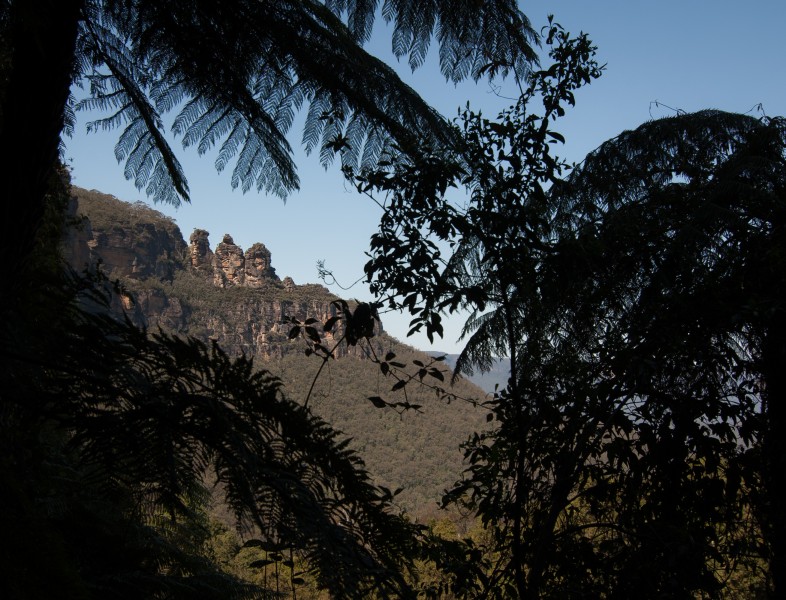 Banner image for post Blue Mountains V