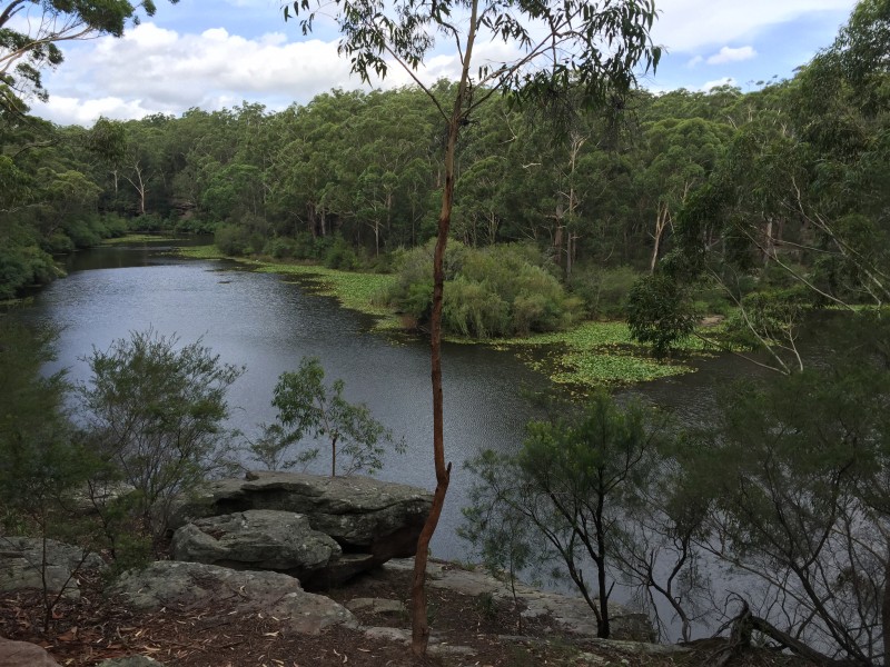 Banner image for post Lake Parramatta