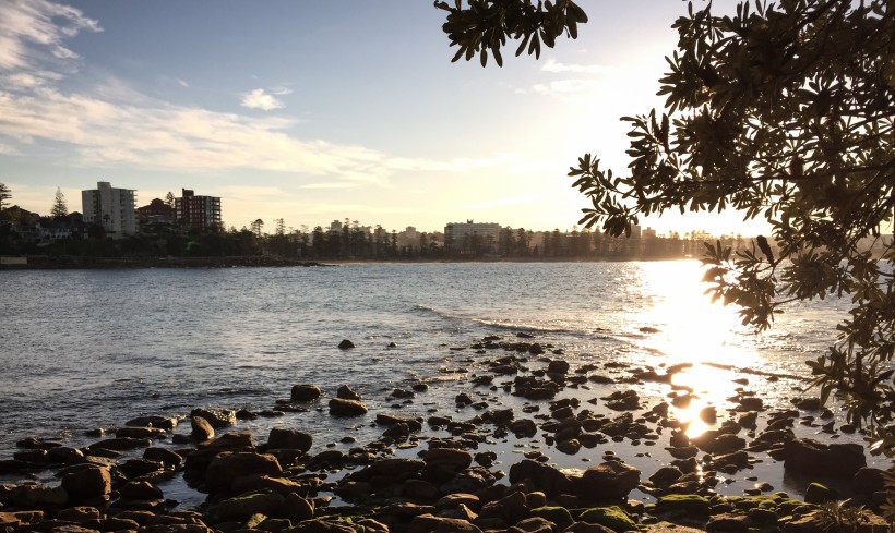 Banner image for post Shelly Beach
